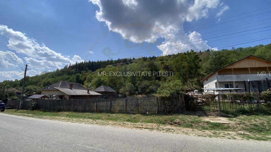 Teren 4000 mp intravilan loc. Aninoasa, jud Arges. Comision 0% - 4