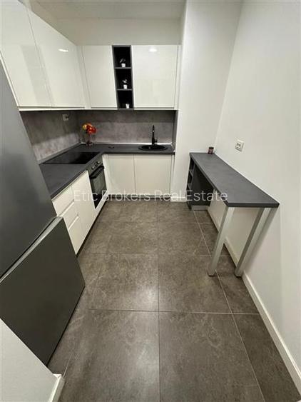 Inchiriere apartament Aviatiei, One Herastrau Plaza, zona exclusivista - 3