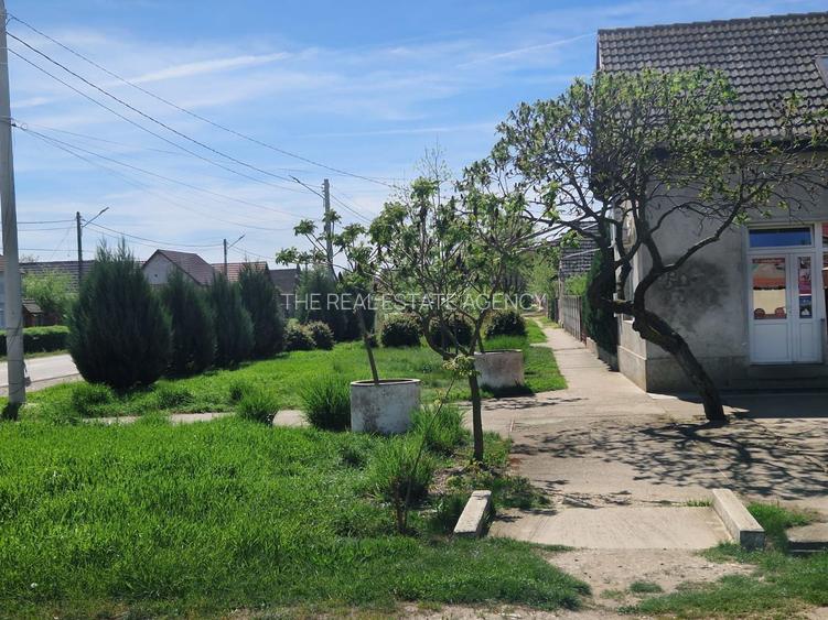 Spațiu comercial | DN69  | comuna Pesac | 50 km de Timișoara - 4