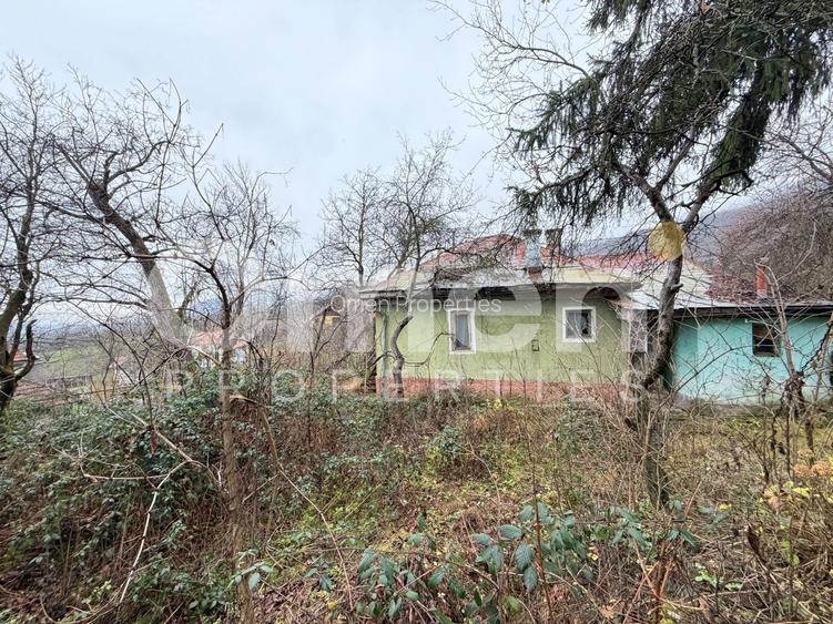 Casa renovabila, cu 6 ari de teren, zona linistita, Baia Sprie - 12