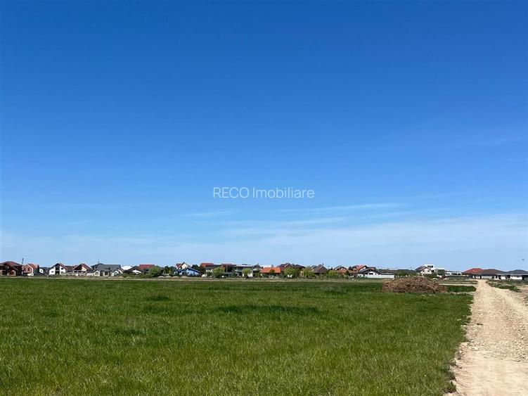 RECO teren intravilan Sanmartin- padure Baile Felix - 3