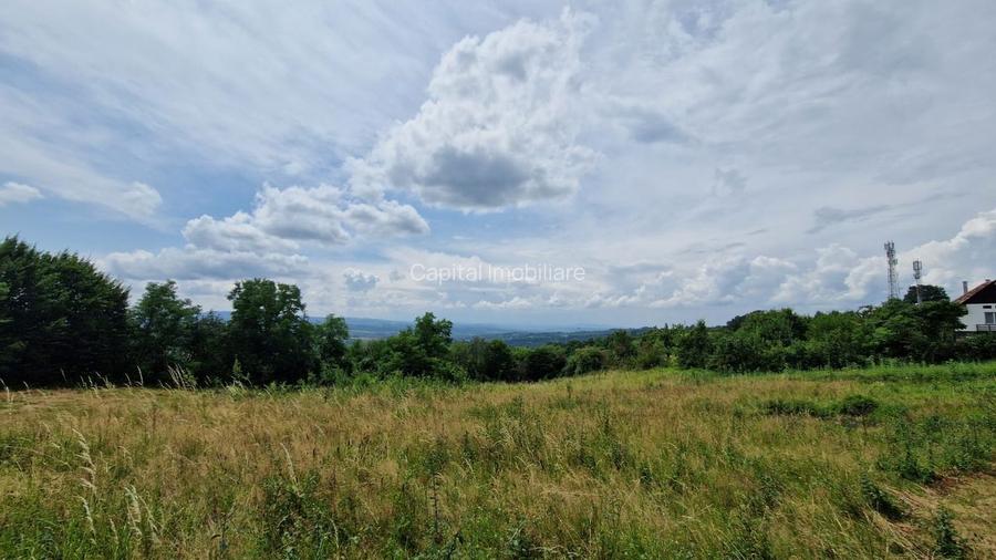 Teren Baia Sprie: 5143 mp, Parcelabil, Comision 0! - 7