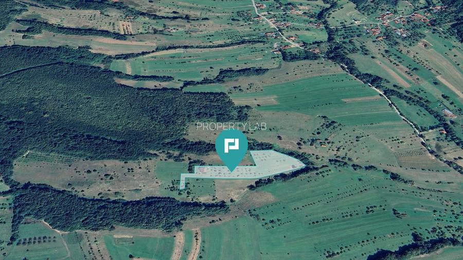 Teren de 92294 in Halmagiu - 2