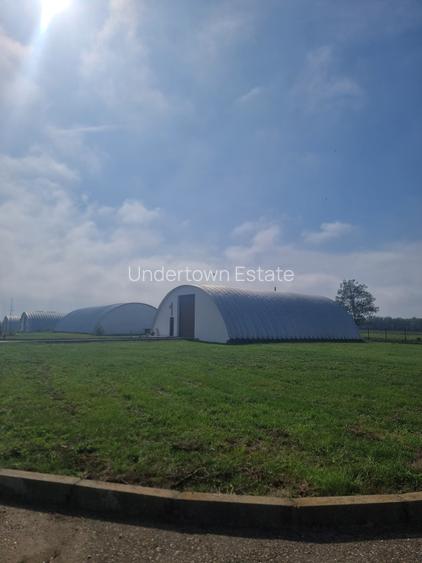 Industrial PARK for Sale – 4 Warehouses with Land, Near Bucharest (INTRAVILAN) - 17