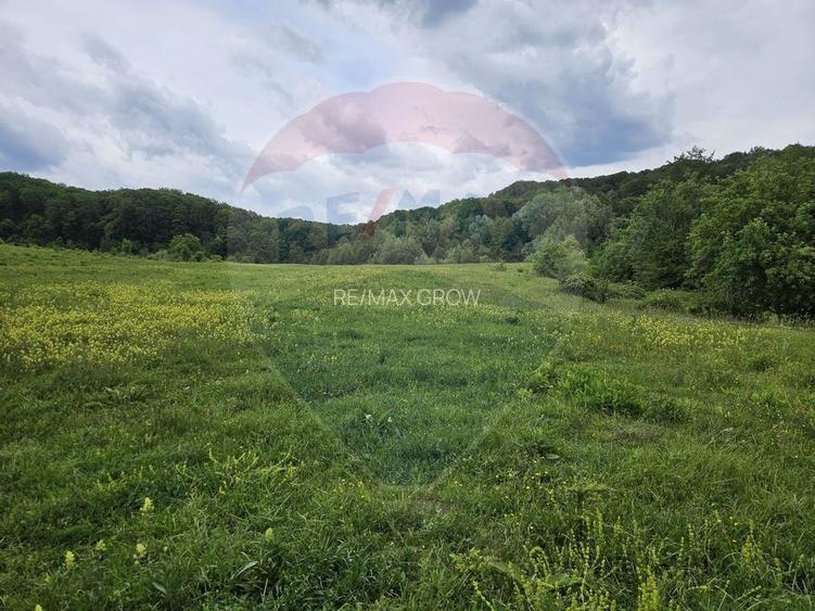 Teren 11,935mp Margineni / Strada Dubas - 6