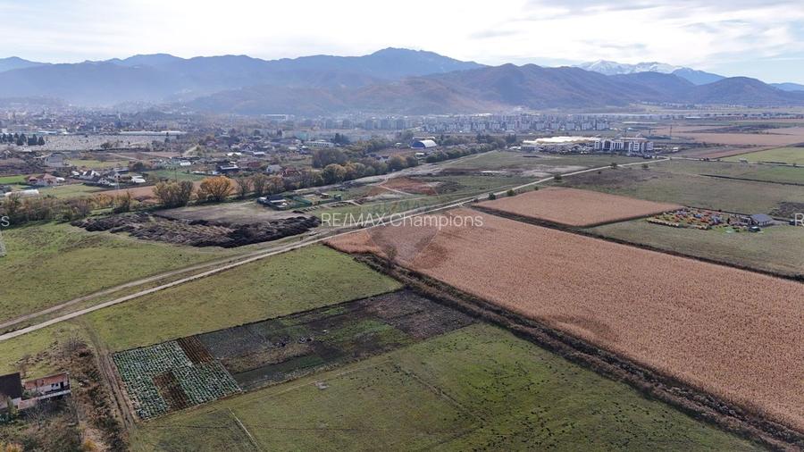 Teren intravilan | Zona Bartolomeu-Lânii | 921 mp - 4