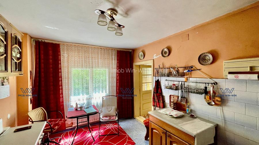 Proprietate Excepțională cu Potențial Dublu în Valea Ursului, Argeș - 5