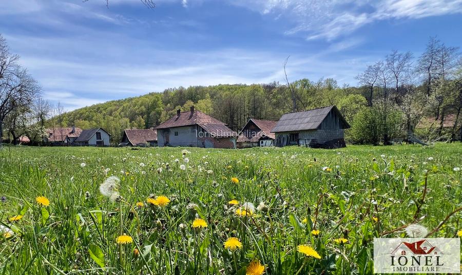 Casa de vanzare in Almasu Mare cu 3992 mp teren - 4