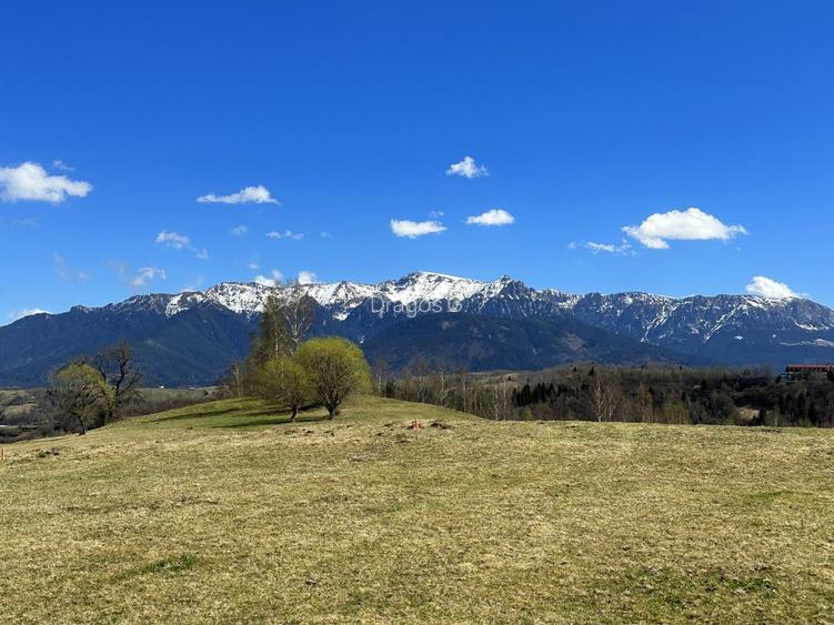 Teren 1550 mp, sat Pestera, zona Bran-Moieciu, jud. Brasov - 4