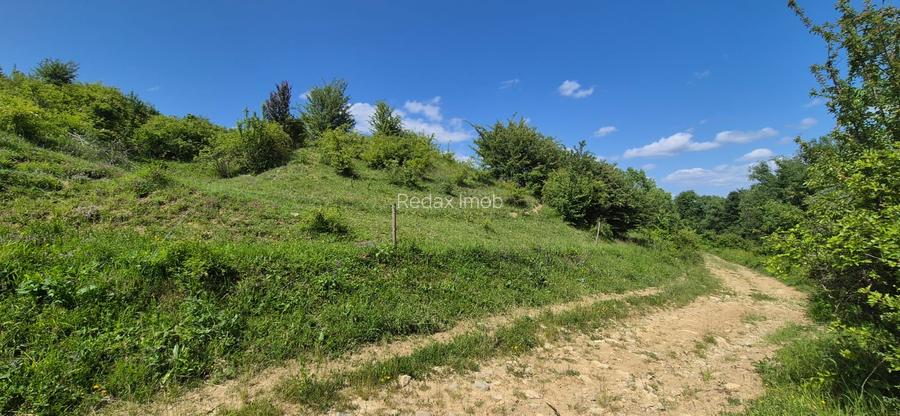 Teren extravilan Tohan cu priveliste - 2