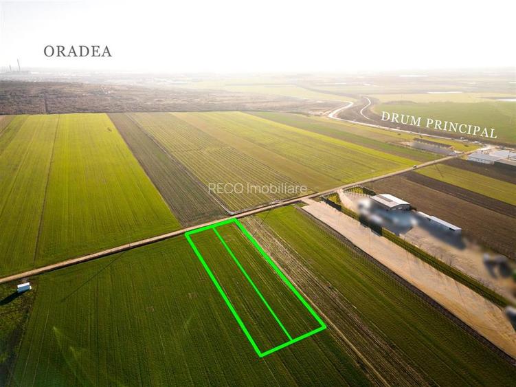 RECO Teren extravilan in Biharia 5500 mp zona intravilana - 8