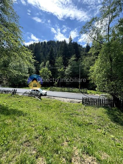 Teren 11557 mp comuna Ceahlau - 6