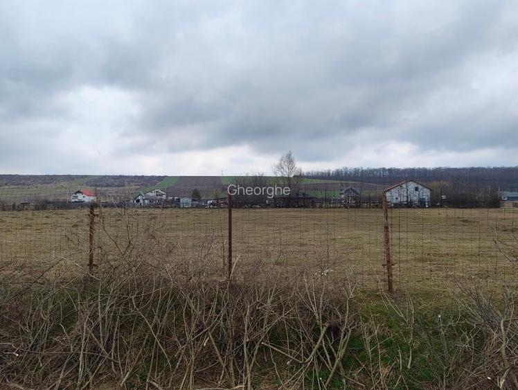 Teren de vânzare Șanta-Mogoșești - 2