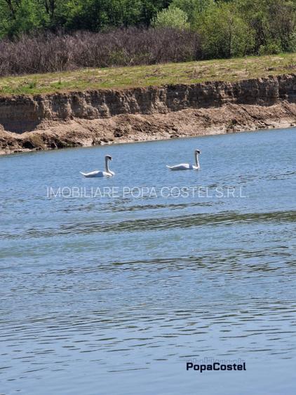 Peris langa raul Ialomita teren 10250 mp intravilan deschidere 46 ml - 4