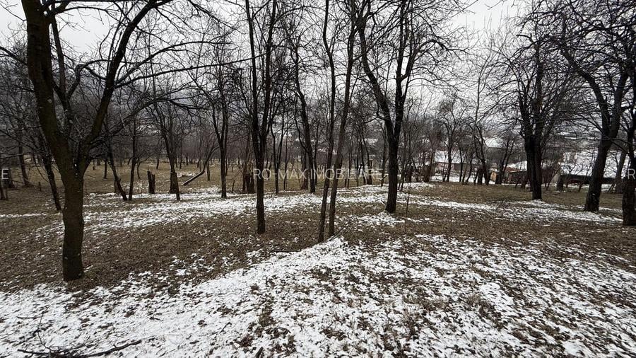 Teren 4652 mp cu izvor pe el, Lunca Mare, lângă păstrăvăria Doftana - 2