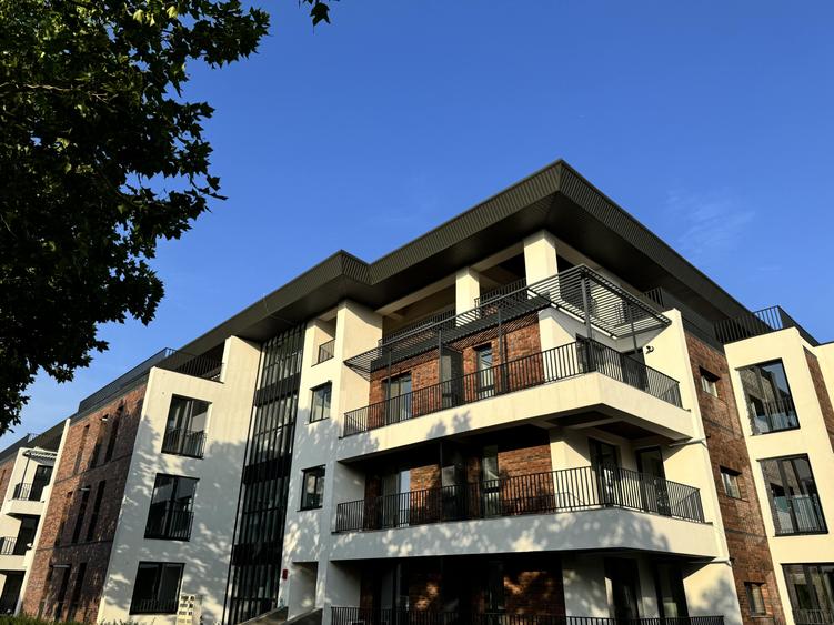 e94e44bb-a629-4d55-b816-e4fa20ff5bf8 - 2