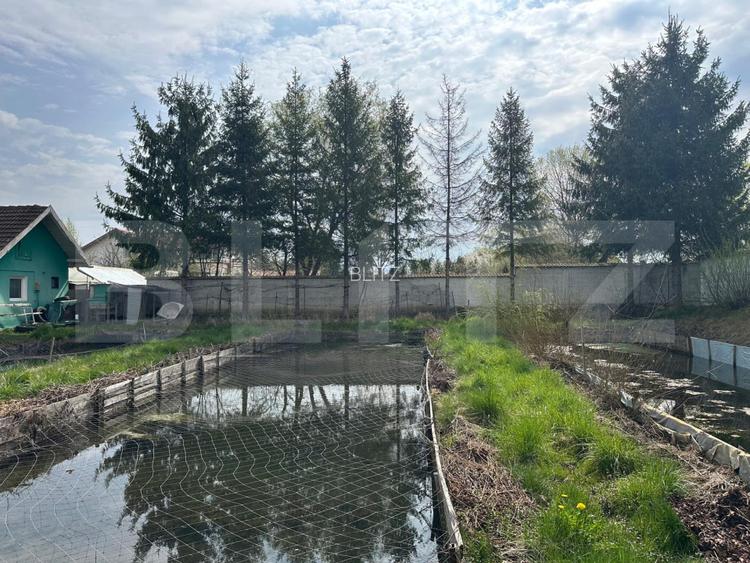 Investitie: Casa cu teren constructii si pastravarie - Prejmer, Brasov - 4