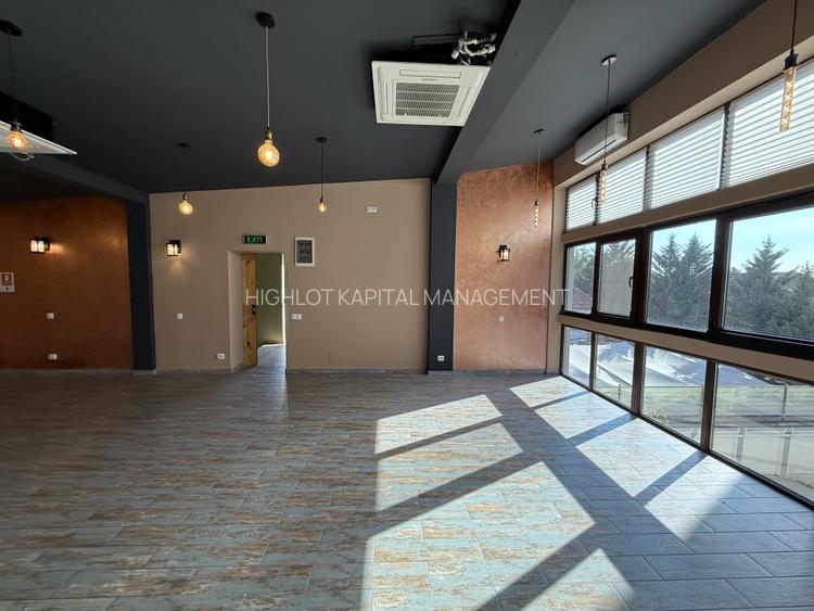 EROU IANCU NICOLAE STRADAL  | VILA IDEALA PENTRU COMERCIAL SAU REZIDENTIAL - 19