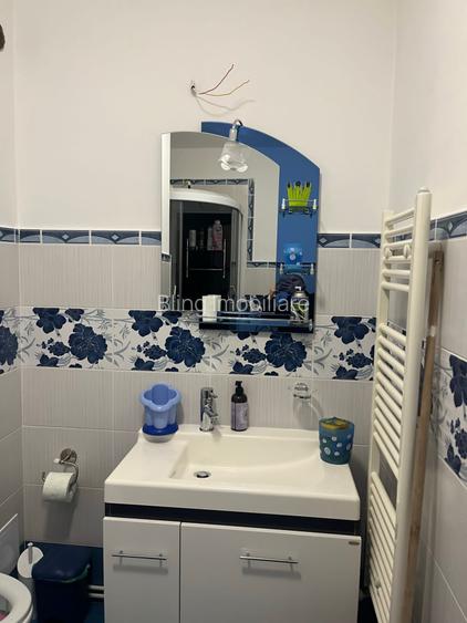 apartament cu 2 camere,etaj intermediar, zona Muzeul Apei - 6