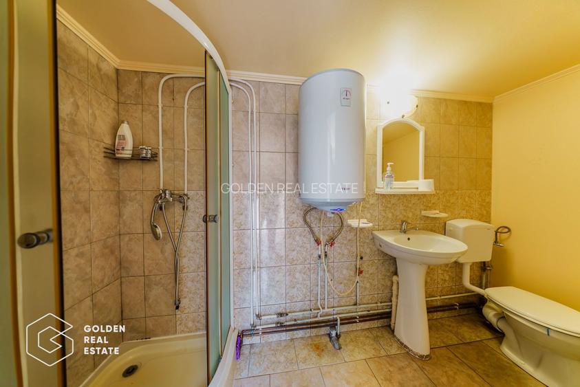 Afacere la cheie: Pensiune functionala sau casa de locuit, Ghioroc - 33