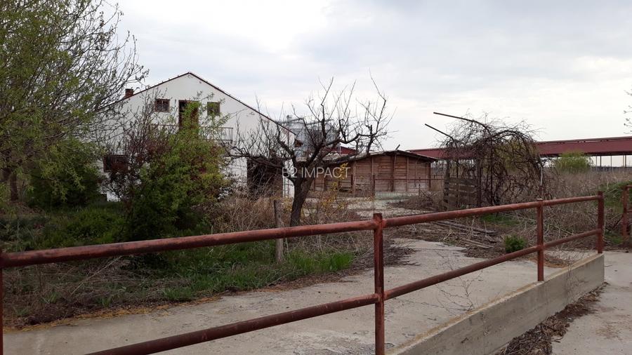 de vanzare Ferma Vaci - 9