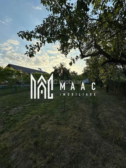 CASA LADESTI-VALCEA| RENOVATA SI MOBILATA| 5000 MP TEREN - 14