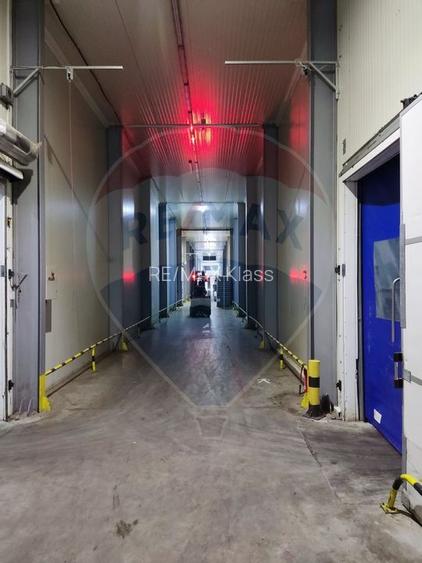 Depozit frigorific  hala ideal legume, fructe, flori - 3