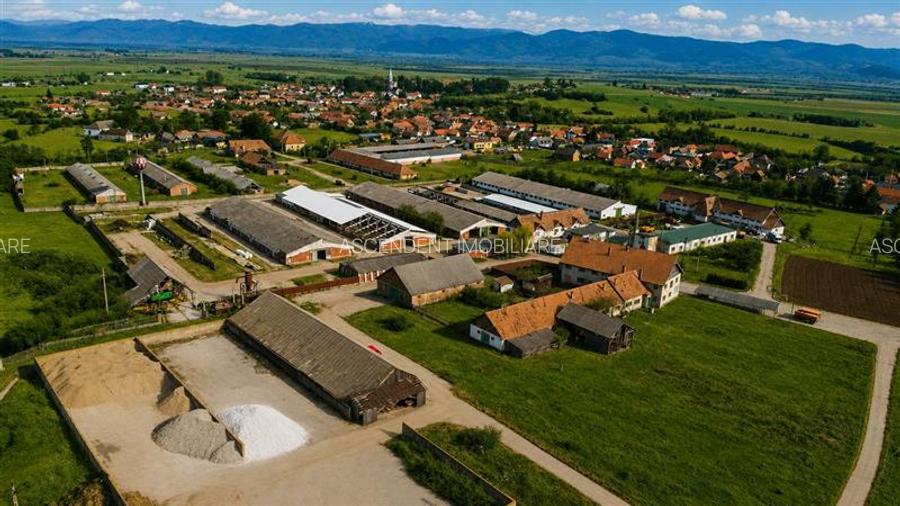 FILM! +25.400mp teren+Complex agrozootehnic cu traditie, accesorizat+ potential - 21