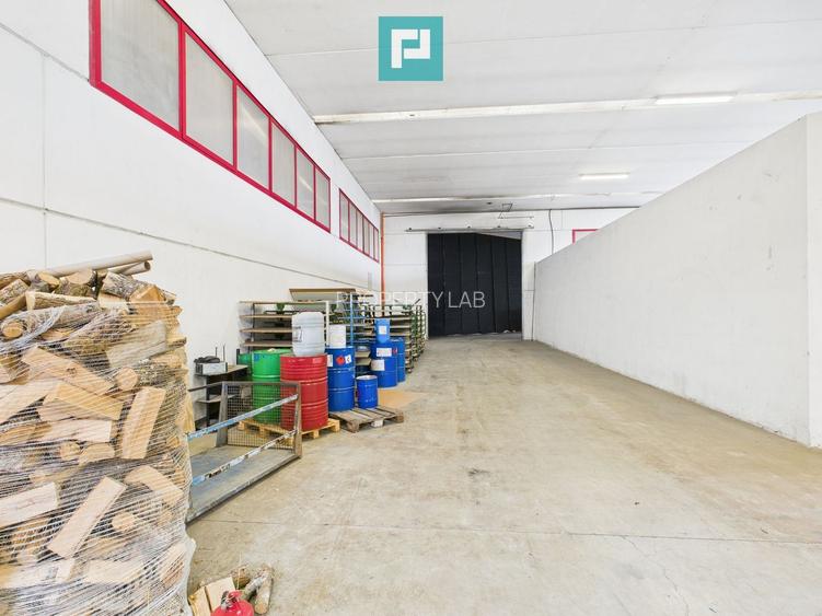 Hală de producție, cu birouri și teren, în Sebiș - 21