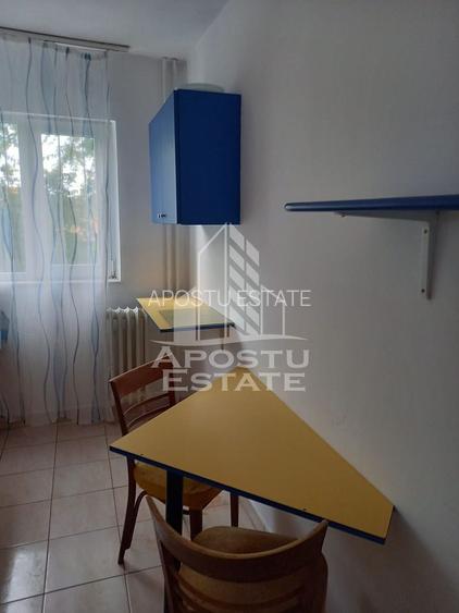Apartament cu 1 cameră , spațios , Iosefin - 4
