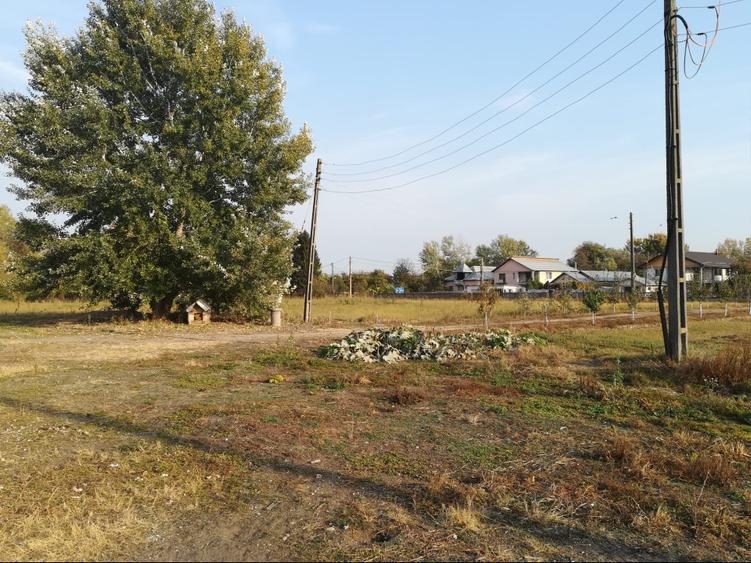 Teren intravilan 25255  m² - Central