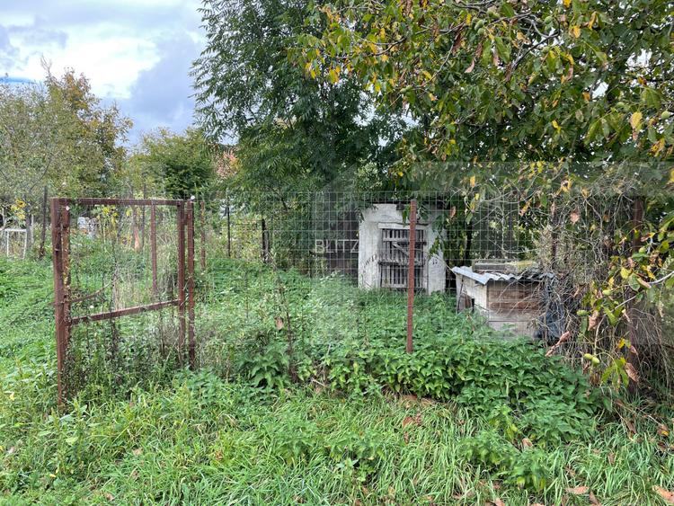 Casă țărănească în centrul localității Ilieni – teren 832 mp. - 4