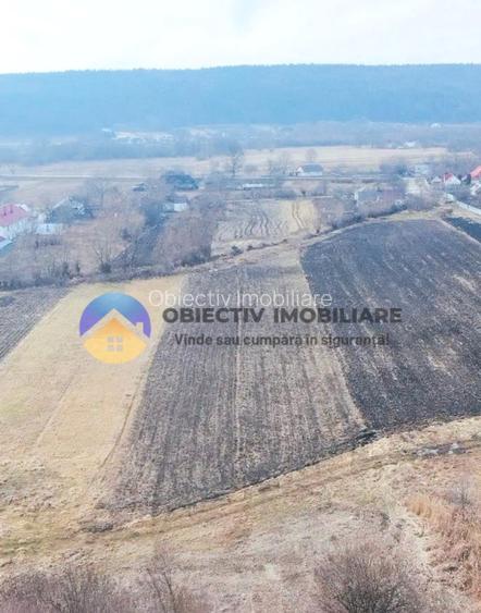 Teren INTRAVILAN  10.515 mp - BODEȘTI, judetul NEAMȚ - 9