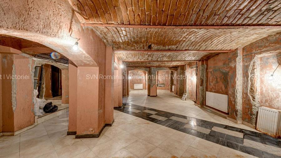 REC3001678 Spatiu comercial Cismigiu - 3