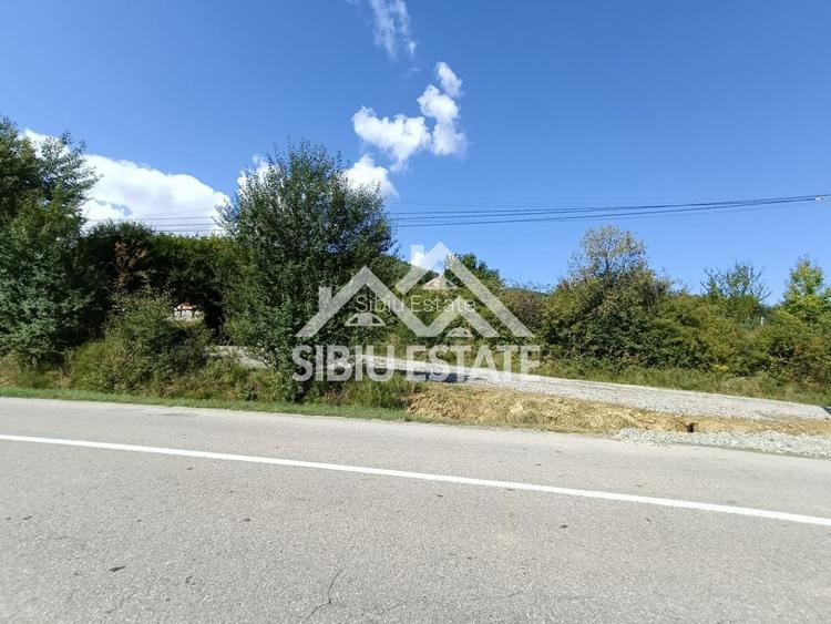Teren  construibil ,la sosea, intre Vale si Sibiel, zona cu potential - 4