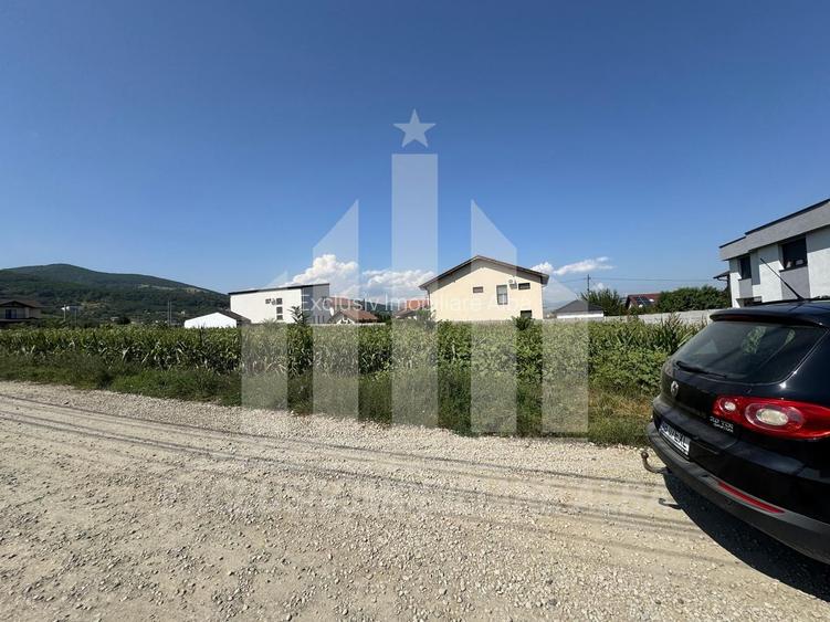 Teren intravilan | De vanzare | 5000 mp | 150 ml deschidere | Micesti - 4
