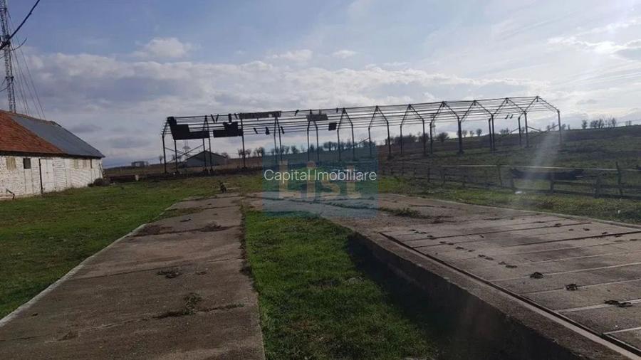 Ferma langa Oravita 5600 mp construiti si teren 24281 intravilan - 9