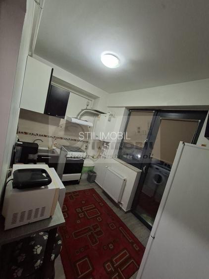 Apartament 1 camera mobilat, bloc 2017, etaj 2, capat Cug Valea Adanca - 5