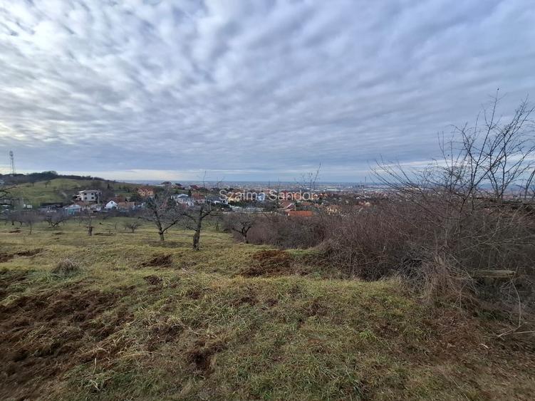 Teren Piersicilor cu utilități - 5