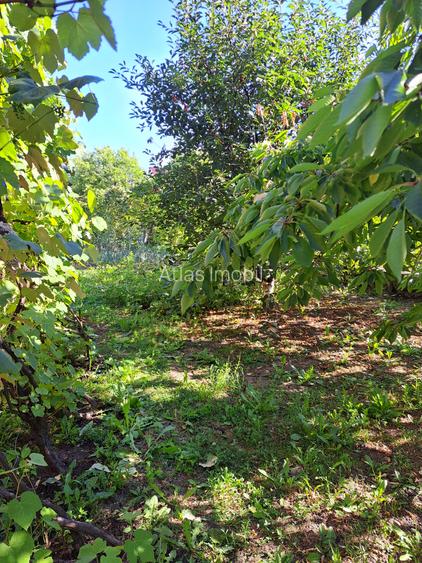 Casa-Vila ultrafinisata in regim D+P+E cu toate utilitatile cu 900 mp,teren - 29