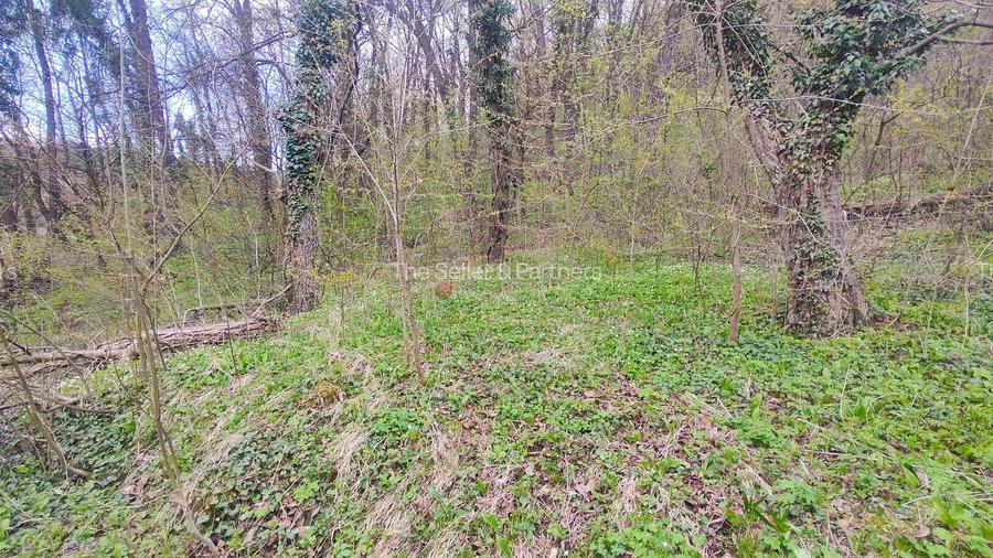 Teren Intravilan Centrul Civic - 10