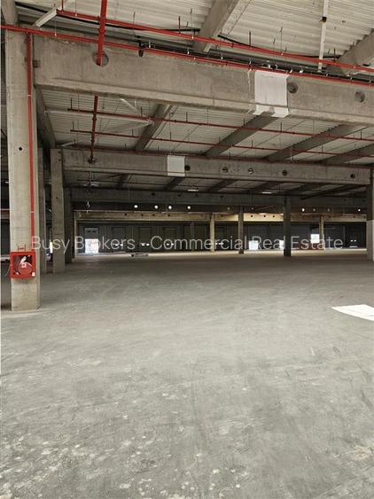 Spatiu Industrial - 7000 mp - Logistica - Productie - Depozitare - Distributie - 3