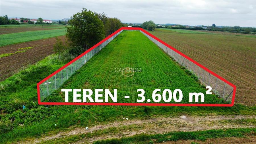 Teren 3.600 m² in Odoreu | 7 km de Satu Mare | 160 m de Principala - 3