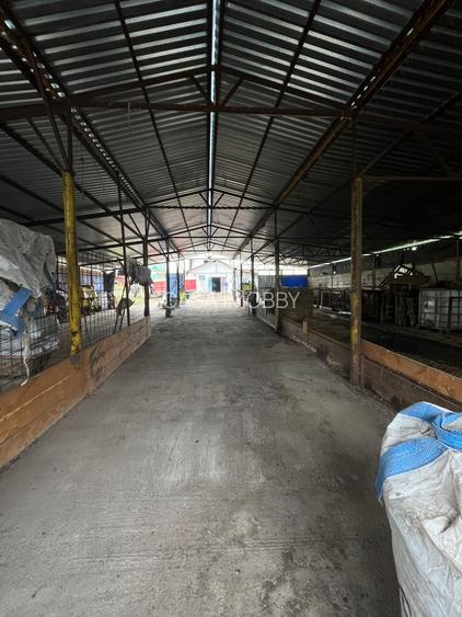 Oferta de vanzare ferma: hala de 500 mp.+teren 6500 mp, Frata, 65000 EURO - 2