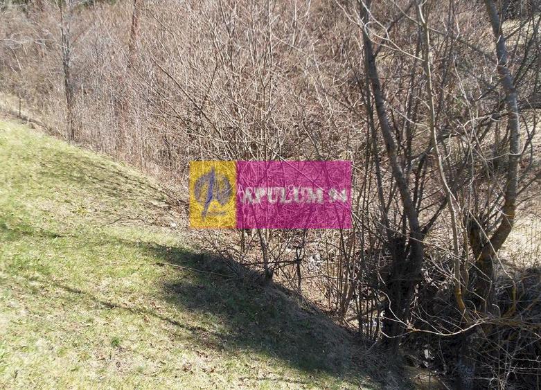 Teren de vânzare în Bușteni - Zona Zamora - 18