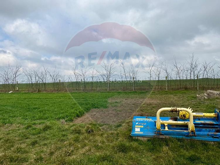 Teren extravilan Săcele ideal pentru silozuri, fermă sau investiție - 20