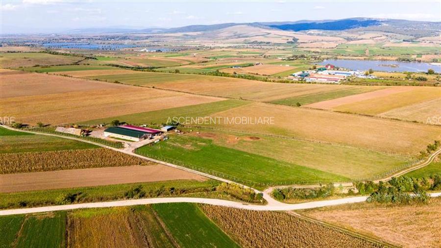 FILM! 18.000 mp, extravilan, agricol+ constructii:ferma,investitii agricole, Rot - 4