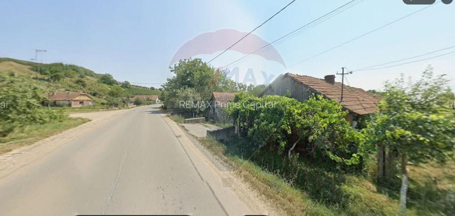 Casa de vanzare cu teren de 3000mp, sat Pagaia, Bihor - 4