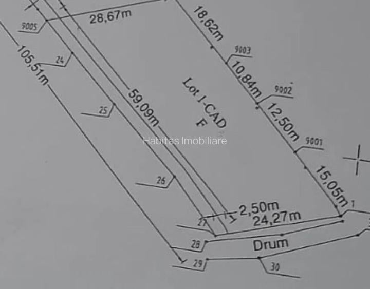 Teren drept de 1342 mp cu front 24 m Belis - 2