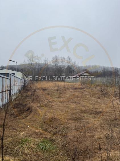 Teren 1758 mp DN7 - Prislopu Mare, Draganu! - 3